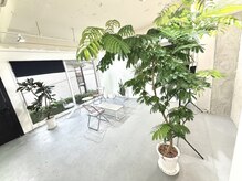 テープ(TAPE)の雰囲気（思わず友人にオススメしたくなるサロン［韓国ハイトーン］）