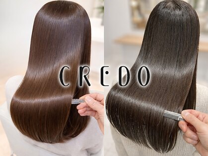 クレド(CREDO)の写真