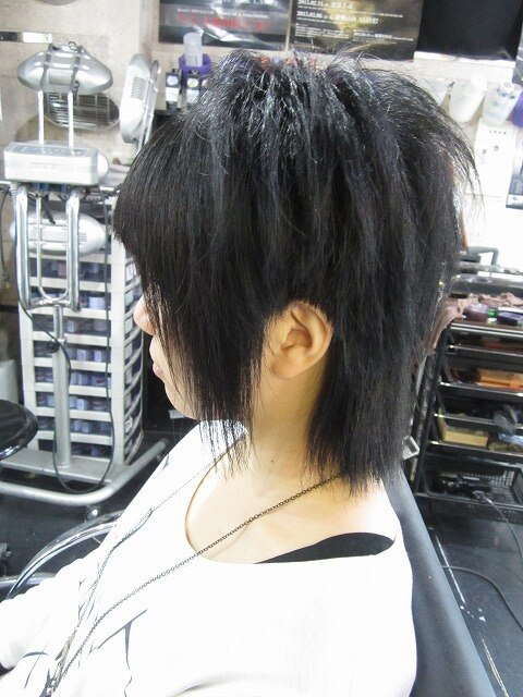 Hair Style ヘアスタイルビジュアルガイド V系ヘアスタイル画像集 (@vkamigata) / X