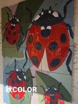 シャルシェ(Chercher)&nbsp;秋COLOR