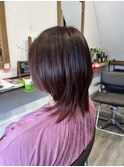 ネオウルフ×アプリコットオレンジ