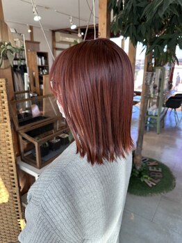 柔らかく艶やかなサラサラ髪へ。特許技術「TOKIOインカラミ」で、うるツヤの美髪を手に入れませんか？