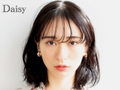 デイジー(Daisy)の写真