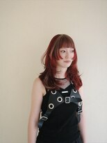 スキオー(SCIO)&nbsp;デザインカラー/色味に季節感をとりいれて