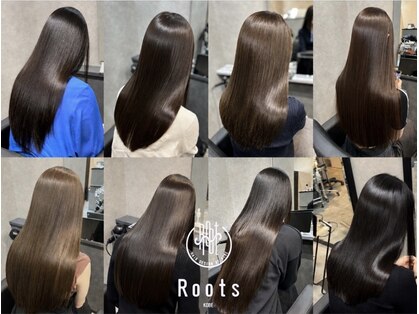 ルーツ(Roots)の写真