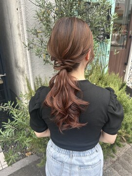 ディティカ ティア(Dityca tia) ローポニー