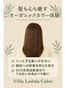ヴィラロドラカラーリタッチ ¥7,500~
