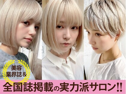 サンティエ(scintiller)の写真