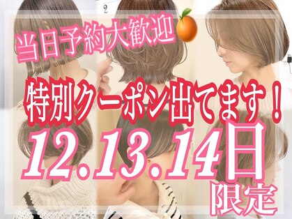 オレンジ(orange)の写真