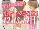 オレンジ(orange)の写真