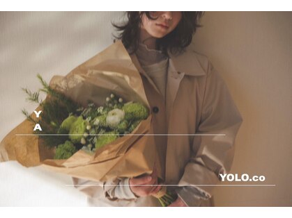 ヤー(YA)の写真