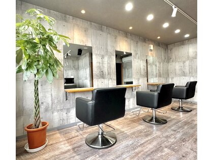 カノア(canoa)の写真