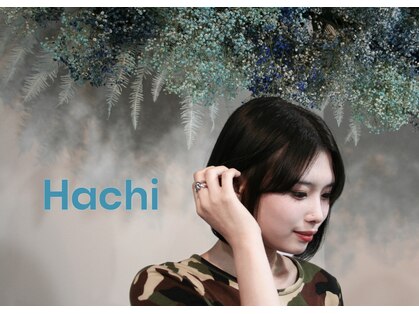ハチ(Hachi)の写真