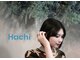 ハチ(Hachi)の写真