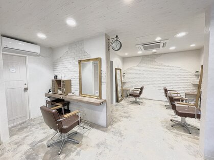 マジック(MAGIC)の写真