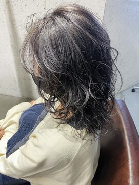 スティードトーキョー(Steed Tokyo) secret highlight"silver grey"【Steed/立川】