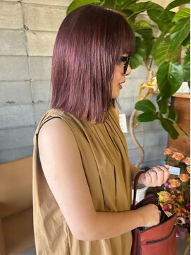 テーラー(tailor) モーブレッド