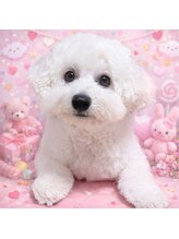 LUNE【リュンヌ】【4月1日NEW OPEN(予定)】 ルン