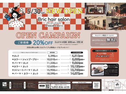 ブリック(Bric)の写真