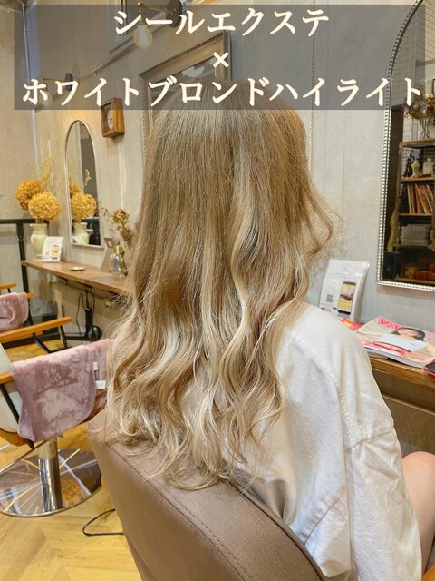 2025年冬春】【シールエクステ】ホワイトブロンドハイライトのヘア 