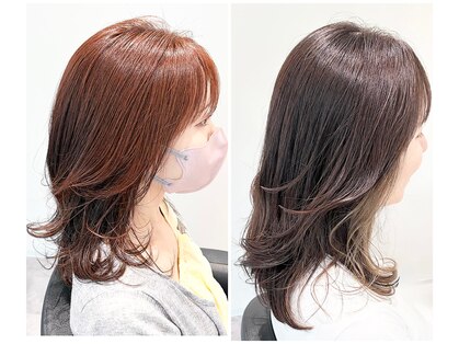 ストフ(stof)の写真