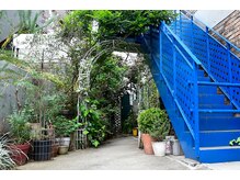 青い階段が目印。草木に囲まれた三軒茶屋の隠れ家空間。[パーマ]