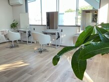ピーロ(piilo)の雰囲気(3席ございますが、入れ違い制なので重なることはありません◎)