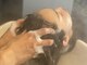 スナッグヘアー(Snughair)の写真/頭皮のクレンジング・保湿・マッサージで健やかな美髪へ。プライベート空間で癒しのサロンタイムを…♪
