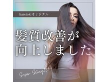 ハレトキアーク 岡崎(haretoki ark)