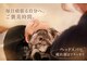 ティクエ(TIQUE)の写真/【未来の美髪を育む】心解ける極上スパで頭皮環境をリセット。最新メソッドで叶える、芯からのボリューム