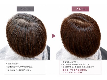 コラカラー三条店【10月中旬NEW OPEN(予定)】の写真