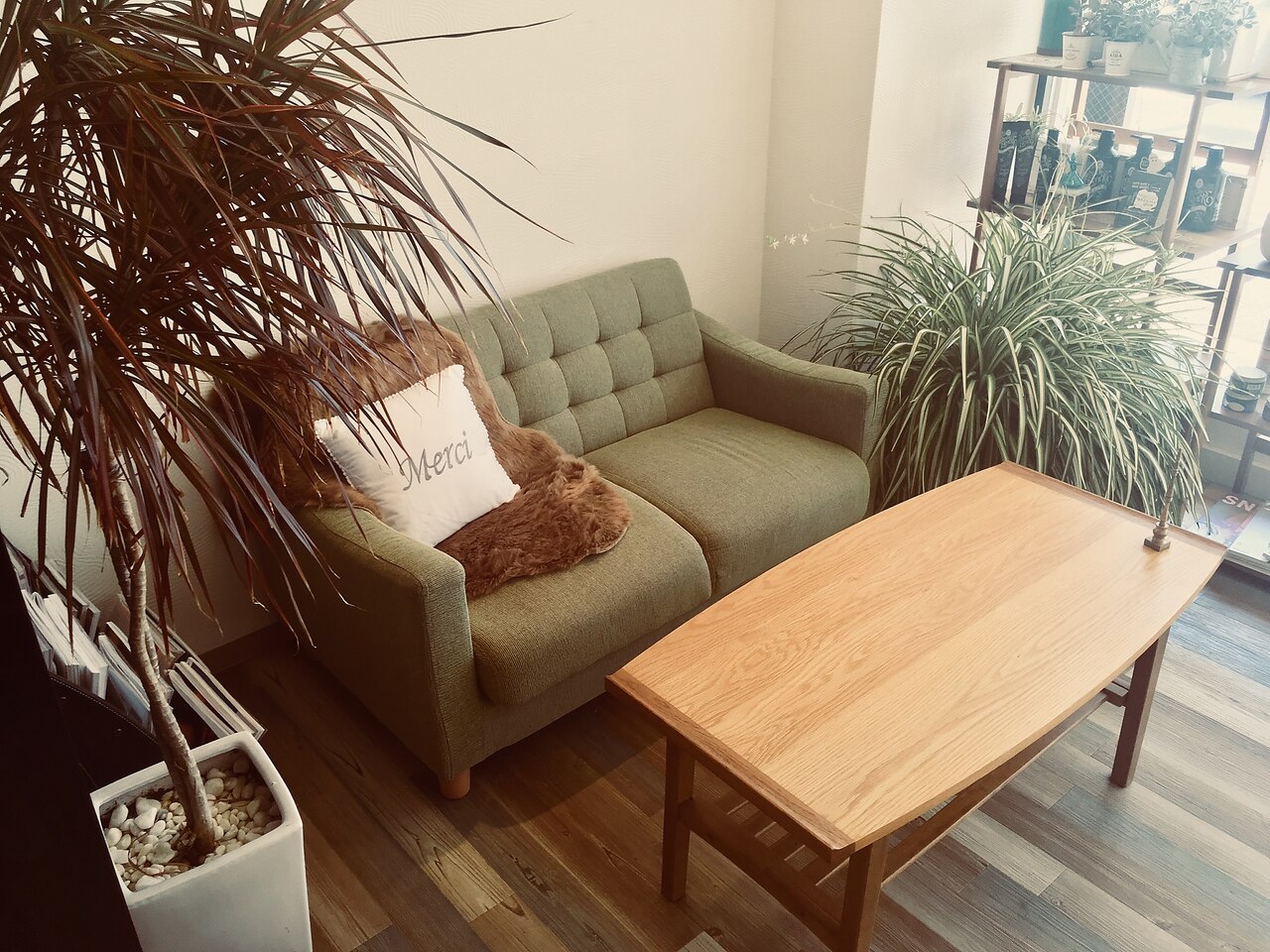 週末セール　セキグチ　サロンドール　ニコル 週末セール セキグチ サロンドール ニコル