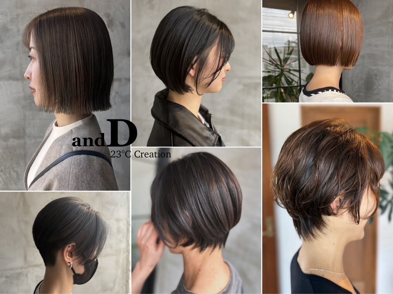 アンディ ニジュウサンド クリエイション(and D 23℃ creation