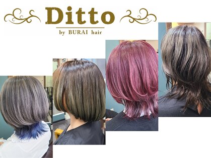 ディト(Ditto)の写真