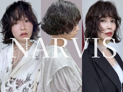 ナービス(NARVIS)の写真