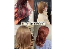 トライフ バイ アカラ(Trife by AKARA)