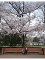 ミコノス(MYKONOS)&nbsp;3匹連れてお散歩中　　　　　　　　　★桜満開★