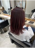 ボルドレッド