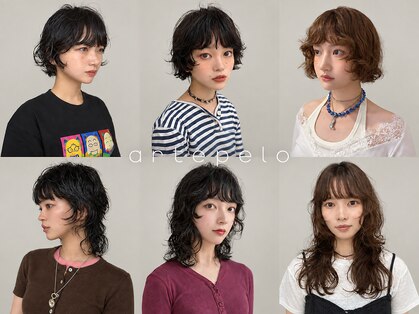 アルテペロ 栄矢場町店(arte pelo)の写真