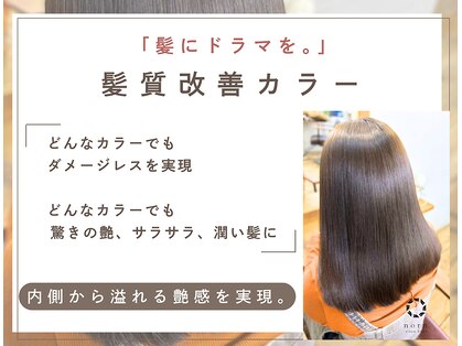 ノルン(norn.)の写真