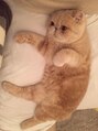 フィン(FiN by allure)&nbsp;猫もだいすきです！！【髪質改善/池袋髪質改善/髪質改善池袋】