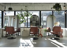 ジール(Ziel)の雰囲気(太陽の光が多く差し込むモノトーンを基調とした心地良い店内)