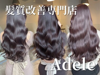 アデル 青山(Adele)の写真