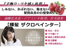 アトリエ メウ 門前仲町(atelier mel)の雰囲気（ノンジアミンのザクロペインターで、頭皮に優しい◎）