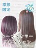 春夏シーズンコレクションカラー【限定】クーポン