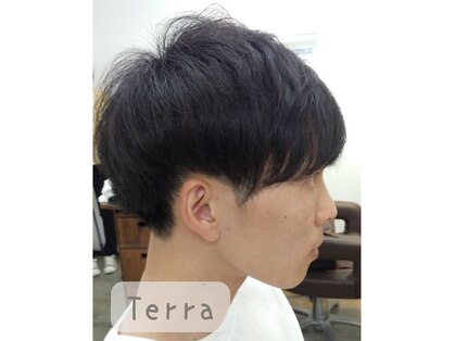 テラ(Terra)の写真