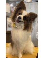 ガーフィー(garfy)&nbsp;元気いっぱいガール(o^^o)