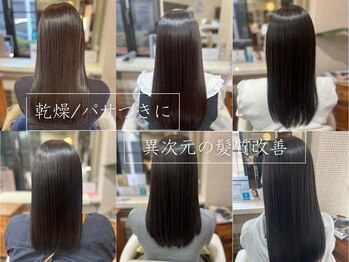 WILL bossa　御茶ノ水　神保町店