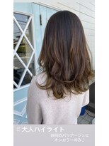 ランダーブルー(LANDER BLUE)&nbsp;大人ハイライト＆シャドールーツ