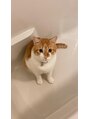ソーホーヘアーアンドボタニカル 大橋店(SOHO hair & botanical)&nbsp;仲良くなれないので猫好きさんは仲良くなる方法教えてください